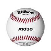 A1030 Champion Series SST Baseballs 1 DZ