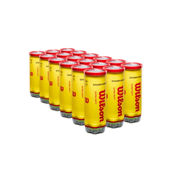 Championship Extra Duty 3 Ball Can (24 Pack)