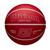 Chris Brickley Dribble Training Basketball