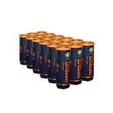 Roland-Garros Green Clay Court 3 Ball Can (24 Pack)