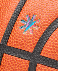 The Golden Page Evolution Basketball