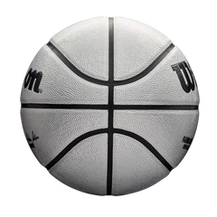 NBA Platinum Edition Basketball