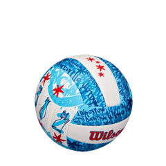 Chicago Graffiti Volleyball