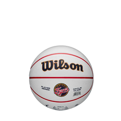 WNBA Player Icon Mini - Caitlin Clark