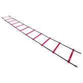 NBA Pro Training Ladder