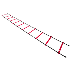 NBA Pro Training Ladder