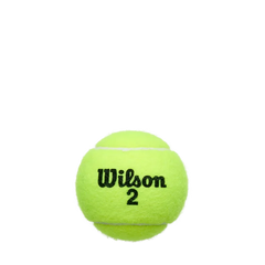 Championship Extra Duty 3 Ball Can (24 Pack)