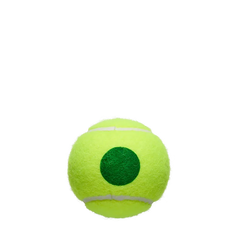 US Open Green Tournament 3 Ball Can (24 Pack)