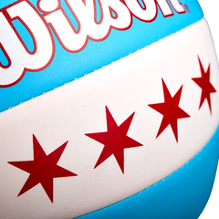 Chicago Flag Volleyball