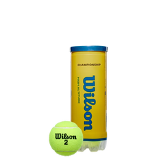 Championship High Altitude 3 Ball Can (24 Pack)
