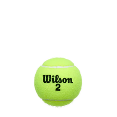 Championship High Altitude 3 Ball Can (24 Pack)