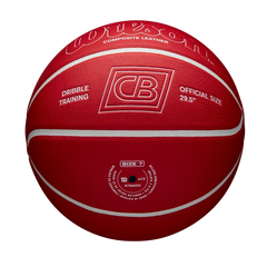 Chris Brickley Dribble Training Basketball