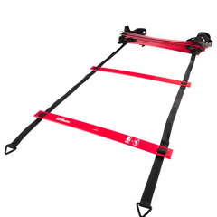 NBA Pro Training Ladder