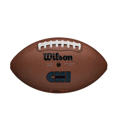 NFL Chicago Football
