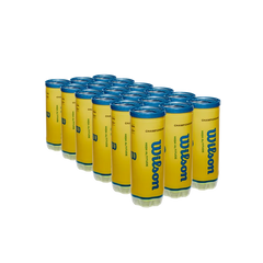 Championship High Altitude 3 Ball Can (24 Pack)