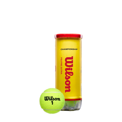 Championship Extra Duty 3 Ball Can (24 Pack)