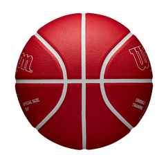 Chris Brickley Dribble Training Basketball
