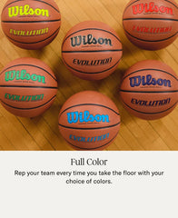 Evolution Game Basketball