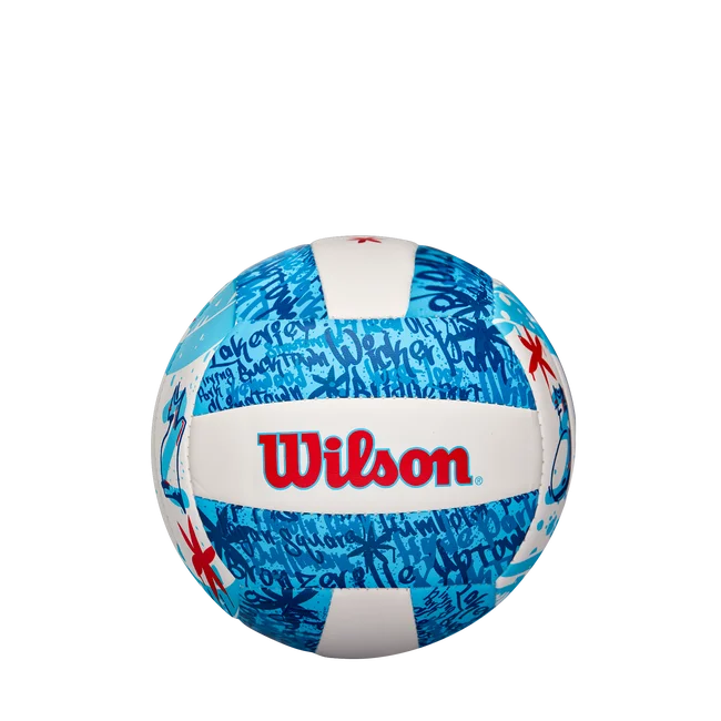 Chicago Graffiti Volleyball