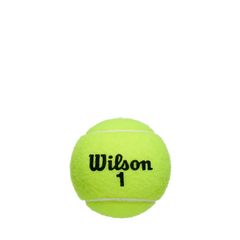 Championship Regular Duty 3 Ball Can (24 Pack)