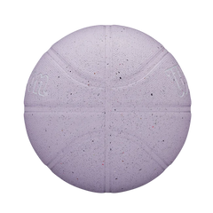 WNBA Heir Outdoor Basketball