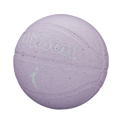 WNBA Heir Outdoor Basketball