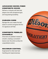 Evolution Game Basketball